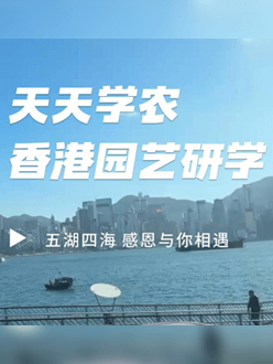 与香港园艺学会联合举办香港园艺研学，专业园境师带队讲解。